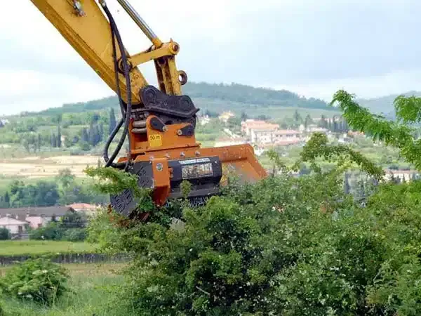 Trinciatura-arbusti-e-rovi-reggio-emilia